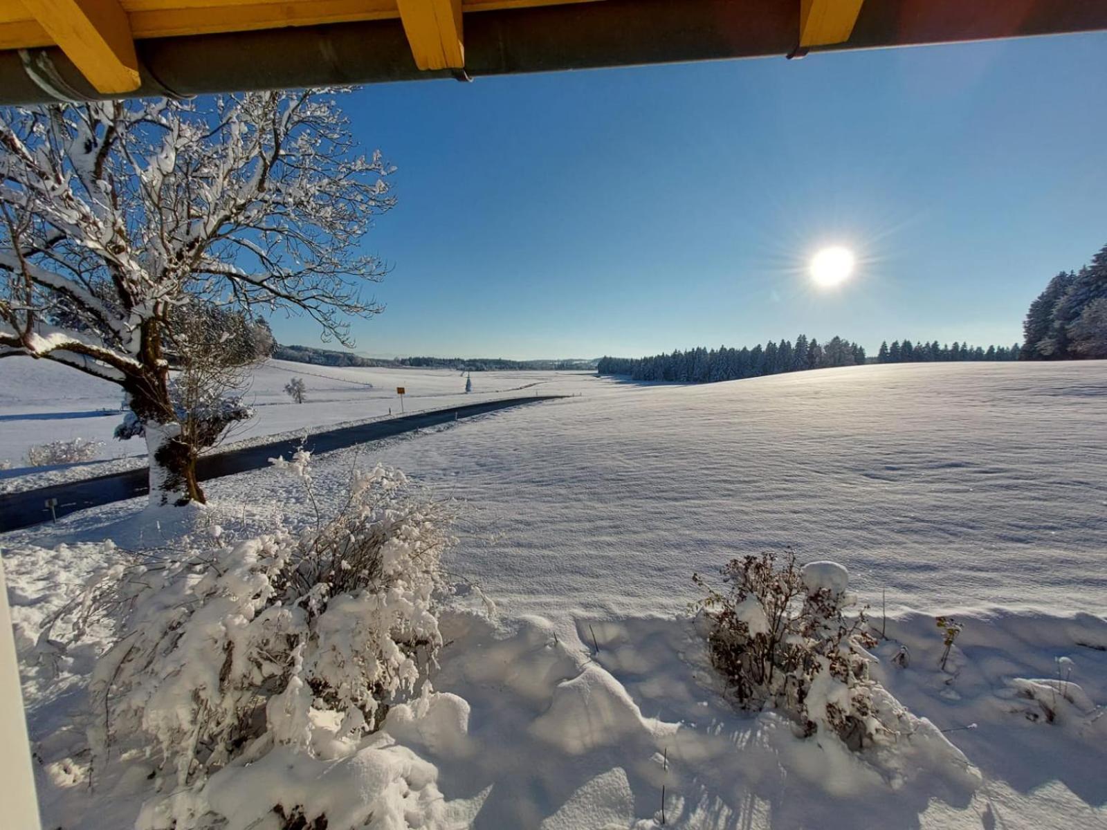 Allgaeu Bergblick *