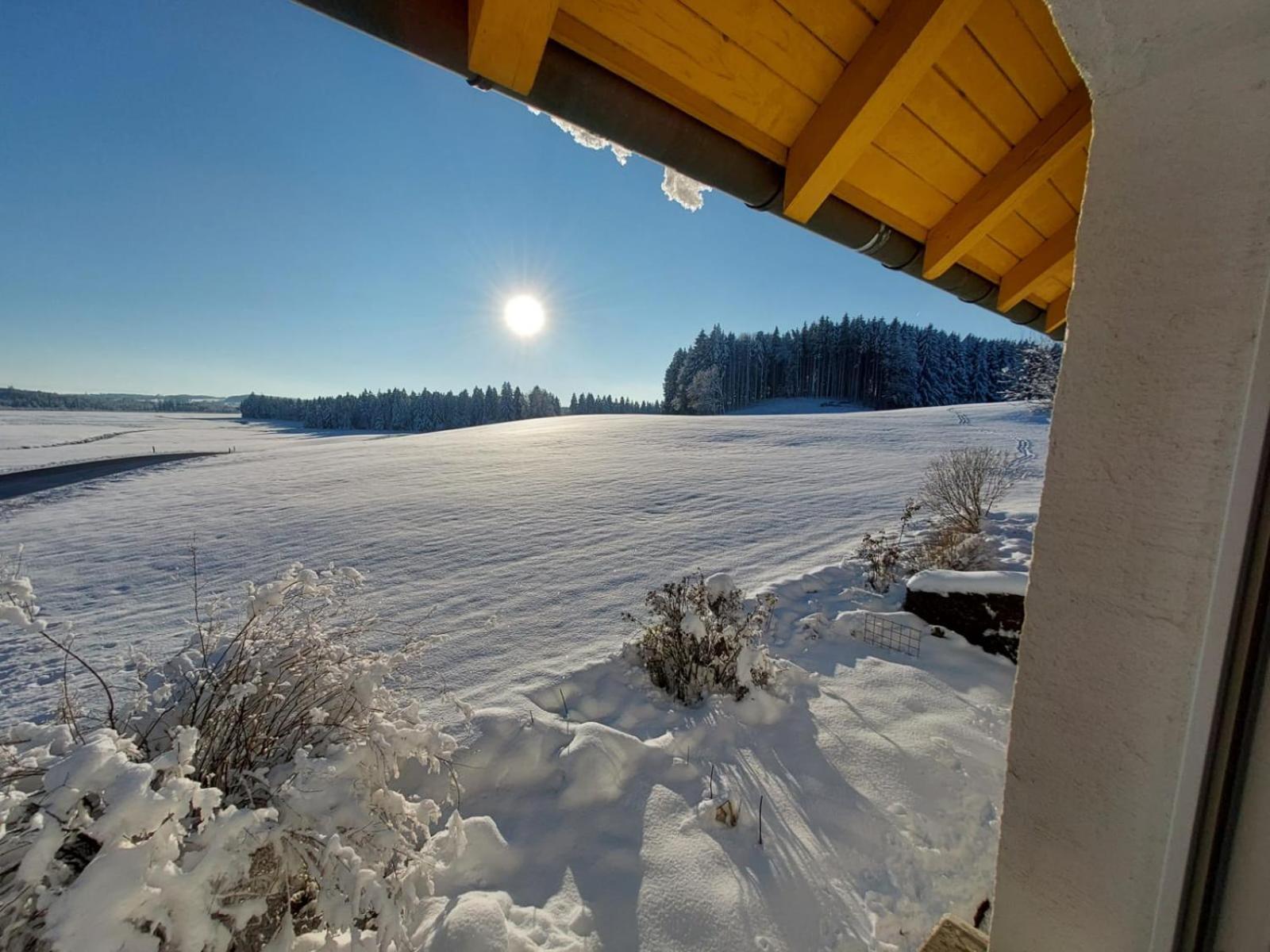 Apartment Allgaeu Bergblick *