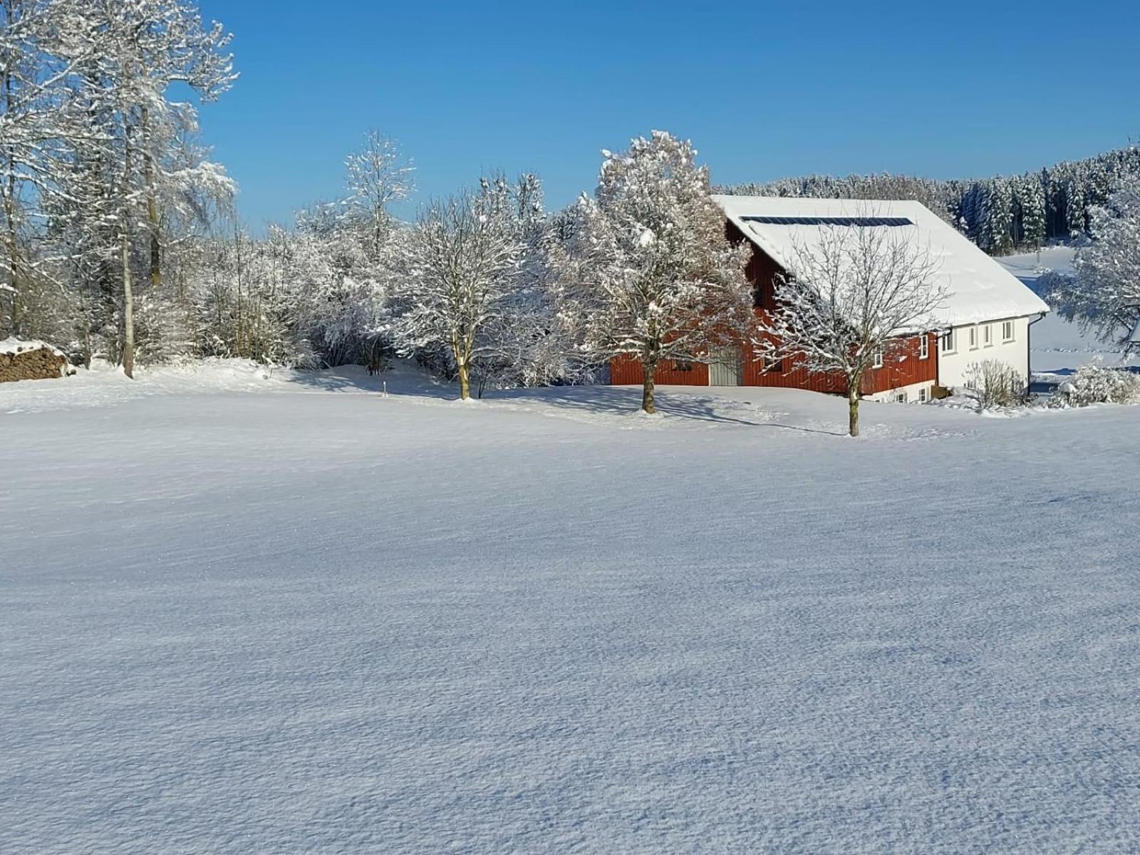 Allgaeu Bergblick